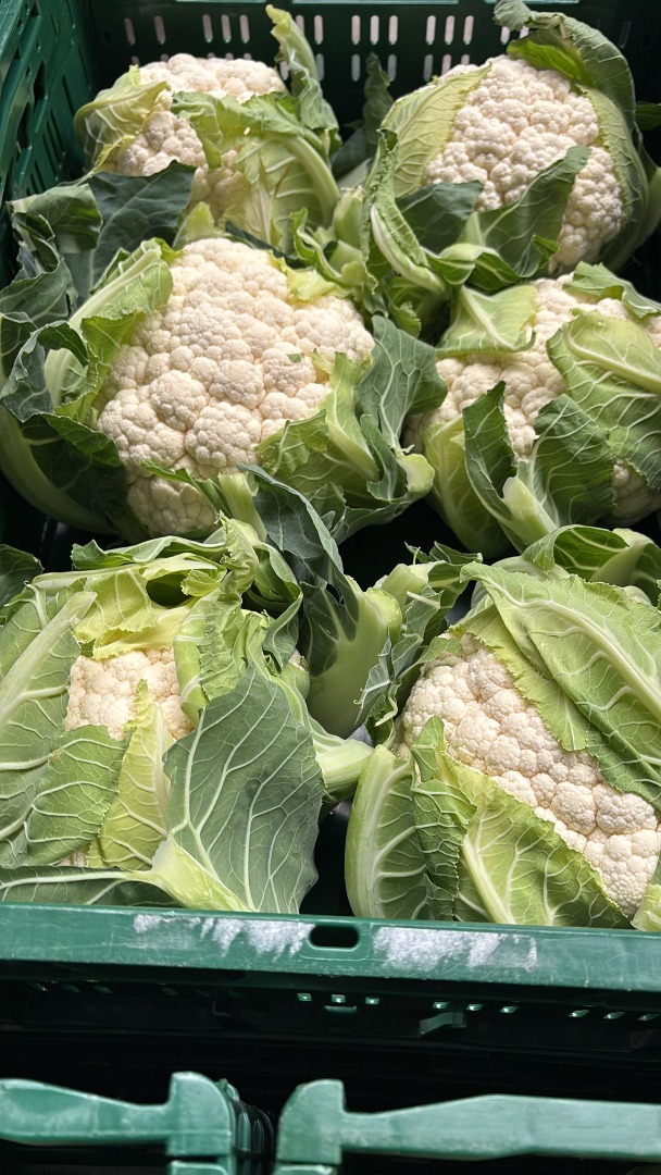 For sale fresh cauliflower 6pcs/box