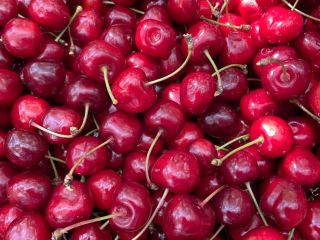 Hello, I have a large quantity of Cherries for