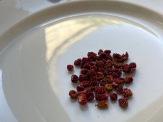 Wild strawberries dried 100 gram-15e plase write for price
