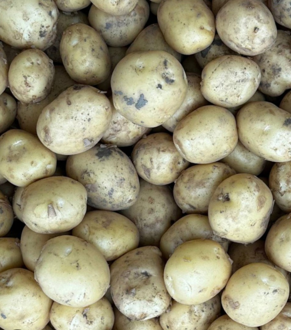 I sell potatoes Reviera or Arizona Quantities up to 100 tons I don't have certifications