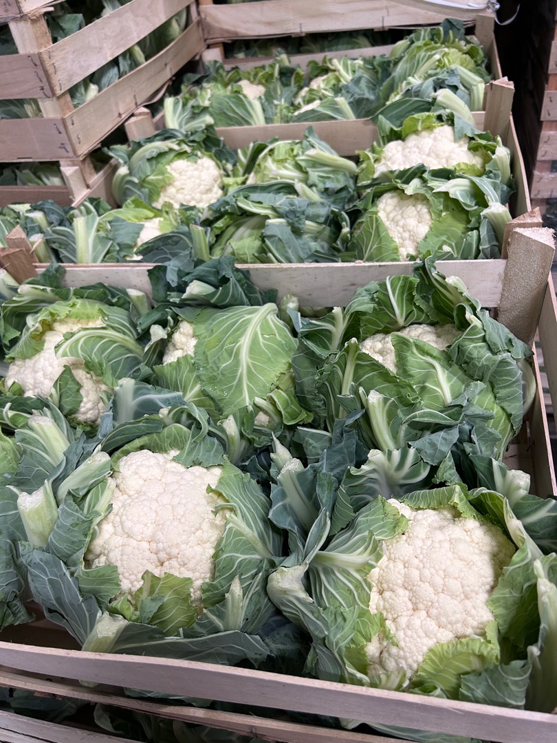 I will establish cooperation with buyers from Romania and Hungary Polish cauliflowers, caliber 6 pcs Full truck quantities, available throughout the season