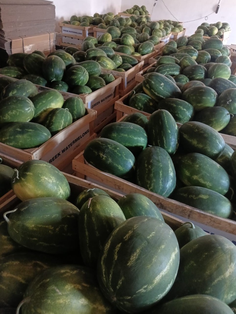 FIA GOGOT FUIT GREECE , OFERA PRODUS RACORITOR DE VARA PEPENE VERDE , LA PRET DE PRODUCATOR