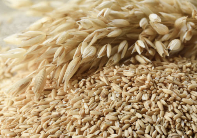 On this occasion, our product available for immediate delivery consists of 500 tons of oats