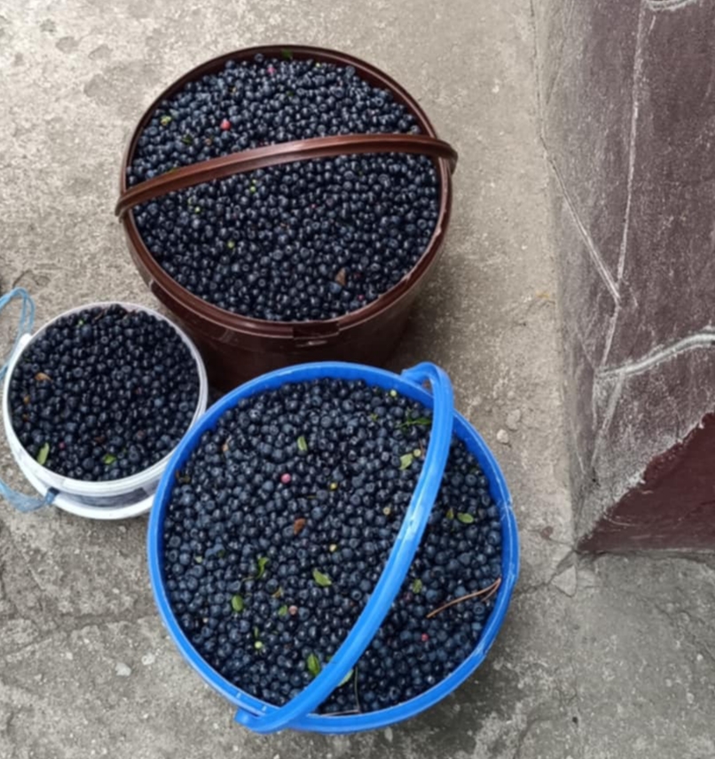I will sell berries picked to order