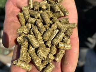 Alfalfa pellets are high-quality animal feed made by pressing