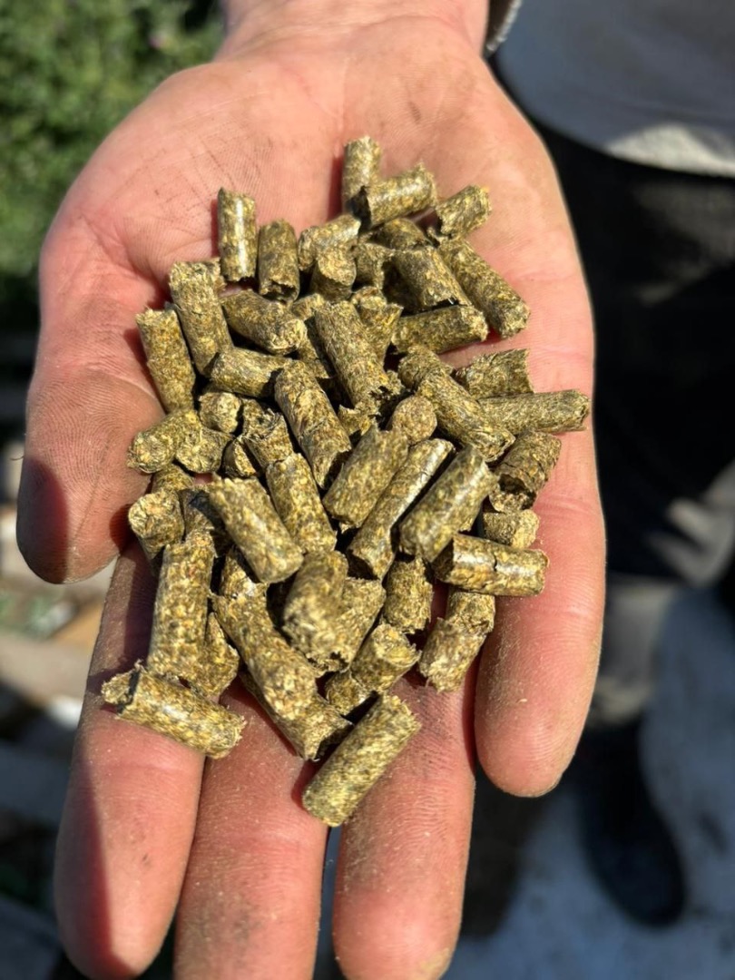 Alfalfa pellets are high-quality animal feed made by pressing dried alfalfa