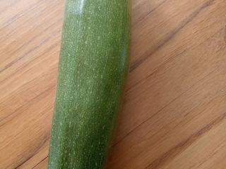 Zucchini straight from the field. Size and price negotiable.