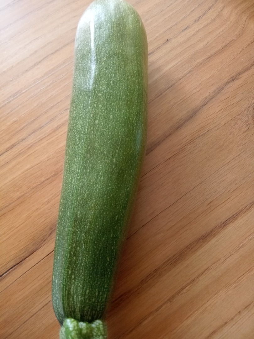 Zucchini straight from the field