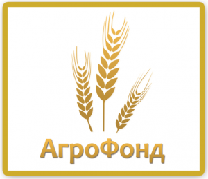 LLC “AGRO FOND” FCA 80-600 Brody, Ukraine GMO Soy Protein: 33% Conditions: • FCA – USD 380/t train bulk; Big bag USD 385 • DAP border – USD 388/t bulk by rail