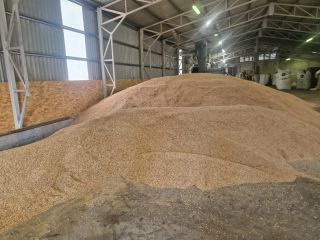 I am selling 40 tons of certified organic, unhulled