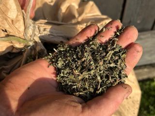 I'm selling dried, threshed peppermint. Price is negotiable.