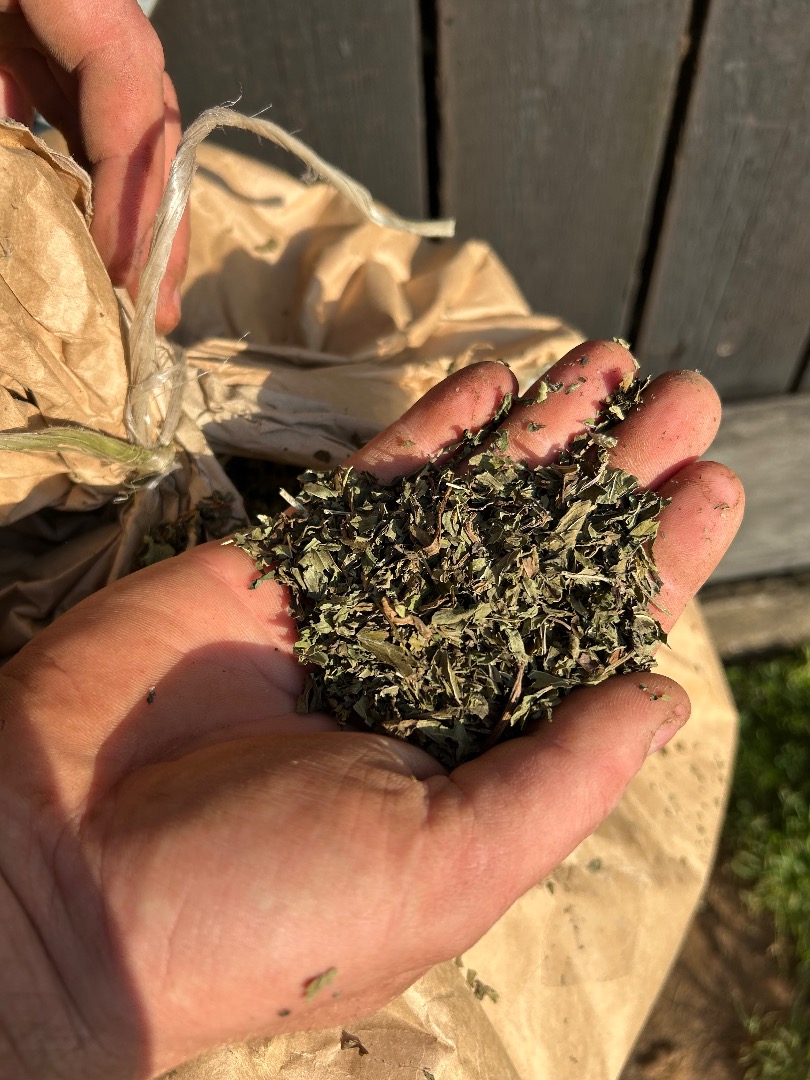 I'm selling dried, threshed peppermint