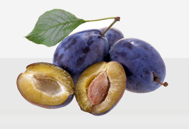 We are looking to purchase about 500 tons of prunes of the Stanley variety in technical maturity; brix 14%-18%; caliber 35+mm