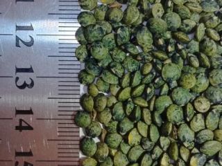 Tiraspol Bread Products Plant CJSC sells Puy marble lentils,