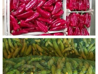 On offer from August to October are red pepper