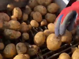 I sell consumer potatoes in large quantities over 100t