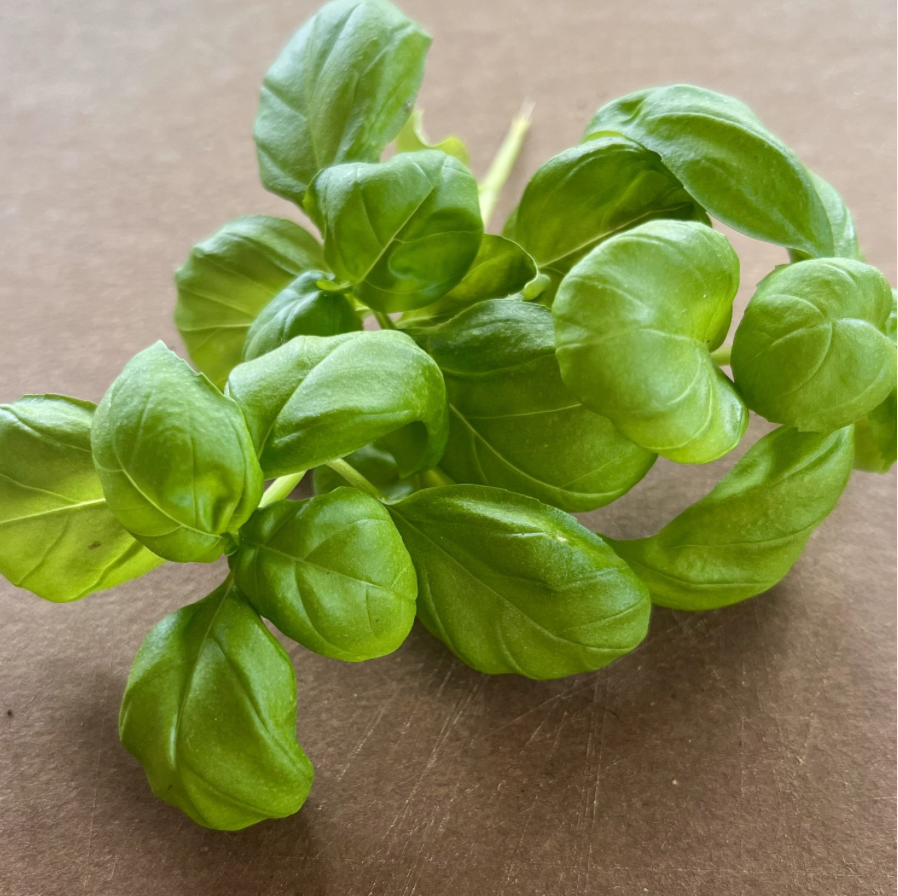 We require an all year round supply of Genoese basil