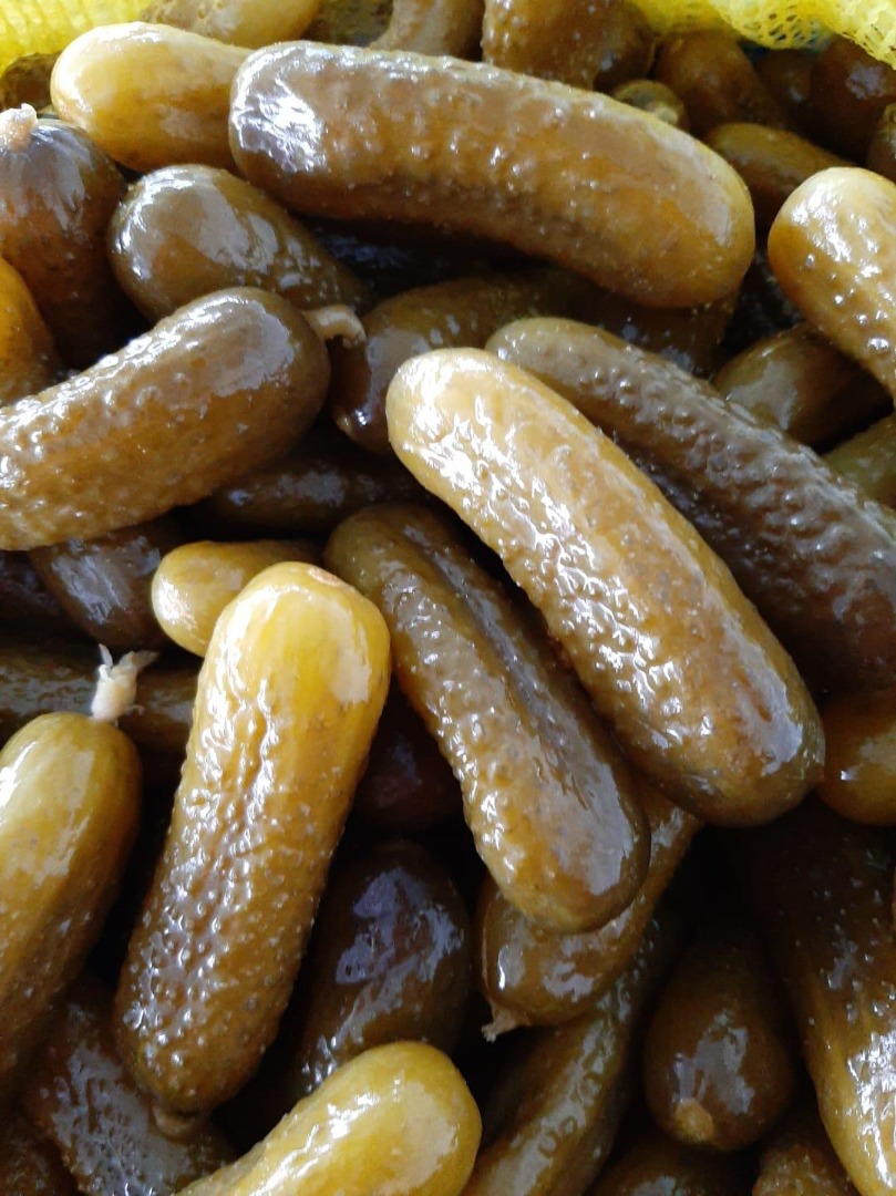 We are offering Cornichons, both fresh and pickled