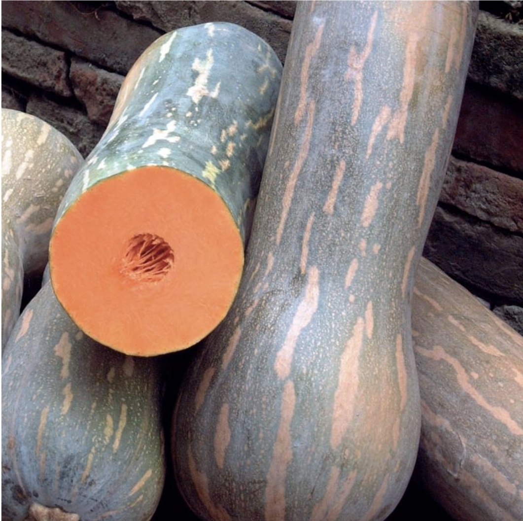 Certified pumpkins