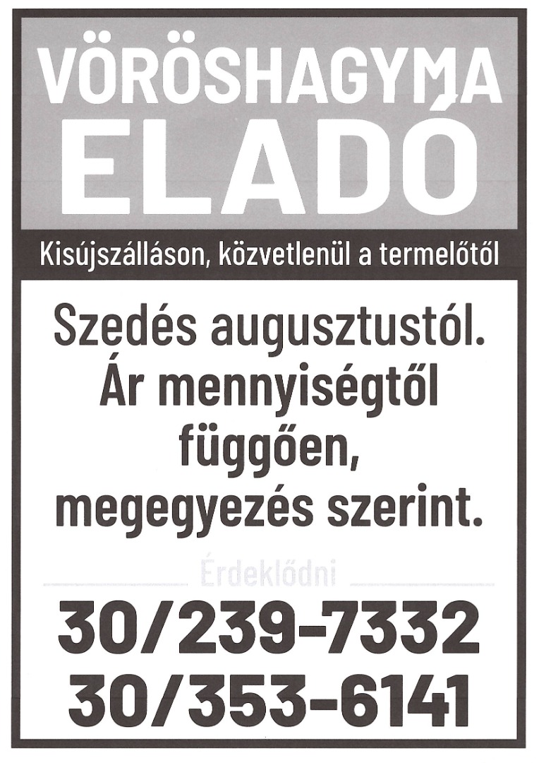 H: Seasonal, freshly picked red onions for sale, directly from the producer, in Kisújszállás, Jász-Nagykun-Szolnok county