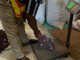Dried Hibiscus from Nigeria — PROMOTION! Price: only 14