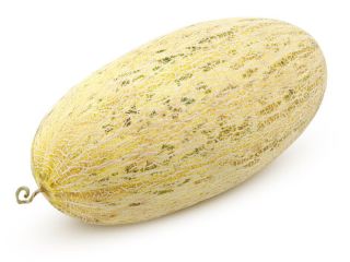 Uzbek Melons – Mirza (Torpedo) | White Honey |