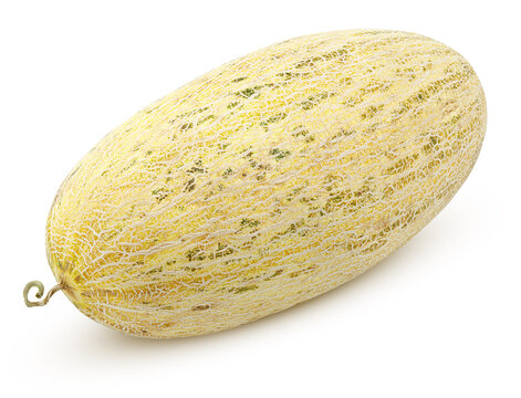 Uzbek Melons – Mirza (Torpedo) | White Honey | Long Melon We offer delicious, eco-grown Uzbek melons, including the famous Mirza variety (locally known as