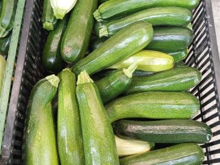 Zucchini for sale Various varieties of fresh Landa As