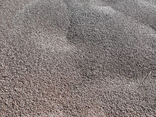 I am selling wheat, harvest 2025.