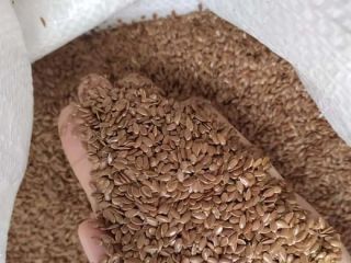We sell brown flax. 1000 tons. Big Bag packaging.