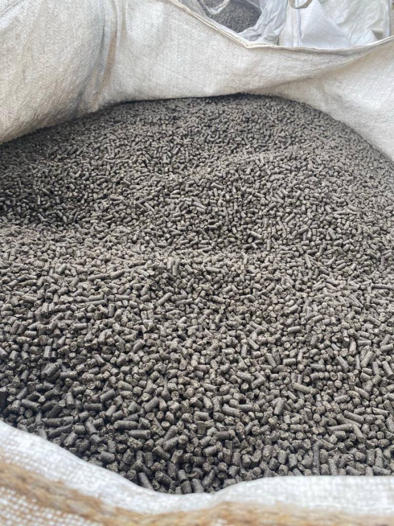 For sale: Technical linseed (TNVED ) – delivery throughout Poland / EU