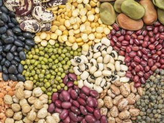 All type Beans export from Uzbekistan Purplebeans Beans. Green