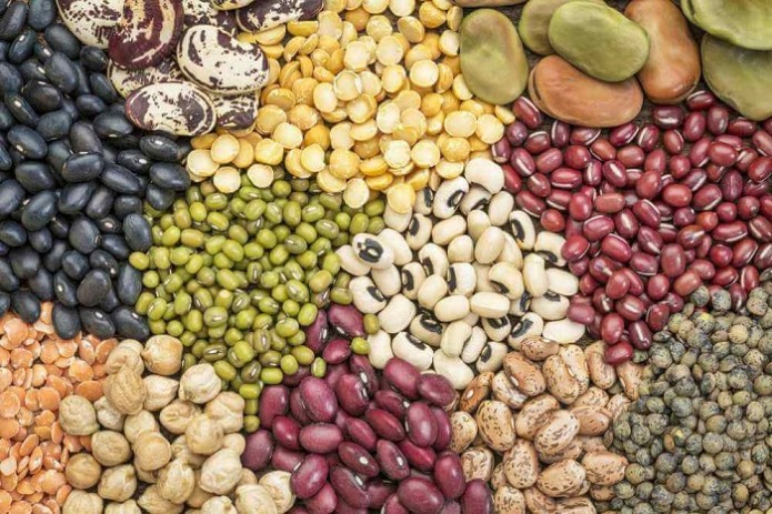 All type Beans export from Uzbekistan Purplebeans Beans
