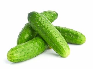 We are interested in purchasing 100 tons of cucumbers