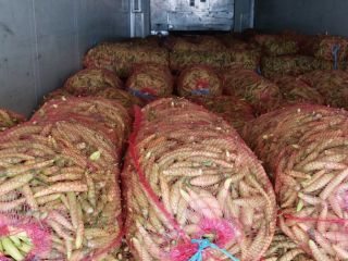 On offer from August to October are red pepper