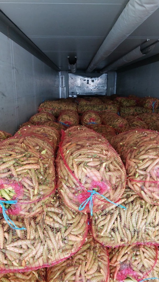 On offer from August to October are red pepper kapia for industry and fresh consumption packed in boxes and crates