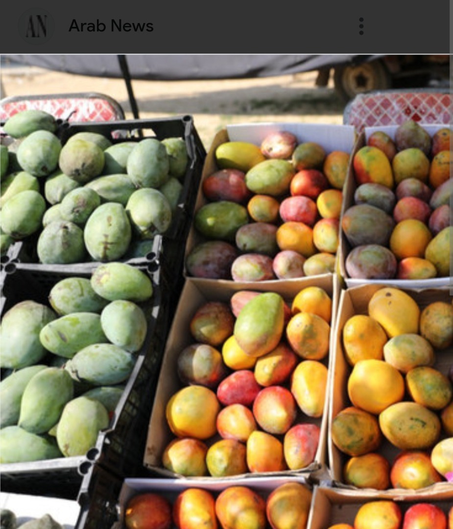 Vand mango egiptean ,cel mai bun din lume .Direct de la producători