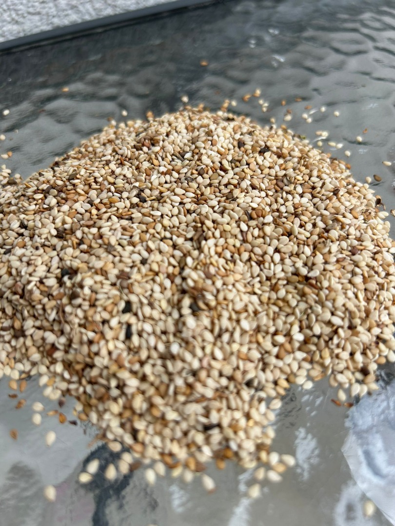 Unhulled sesame seeds - fresh, pure, wholesale