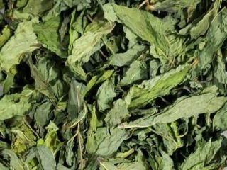 WHOLE LEAVES STRONG AROMA NATURAL GREEN COLOR AIR DRYING