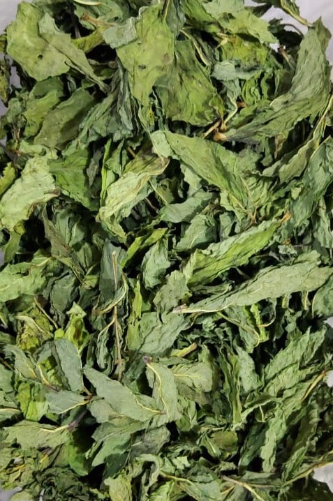 FOGLIE INTERE AROMA FORTE COLORE VERDE NATURALE ESSICCAZIONE ALL'ARIA
