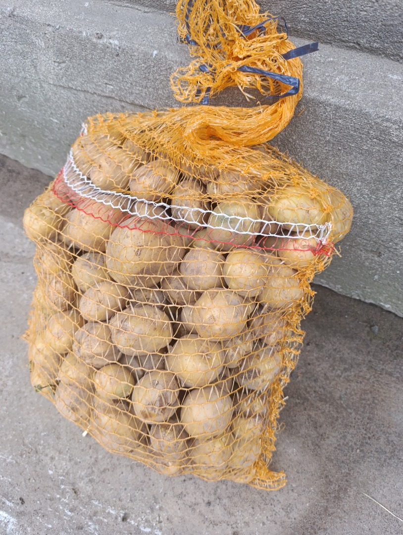 Hello, I have freshly dug Vineta and Queen Anna potatoes for sale