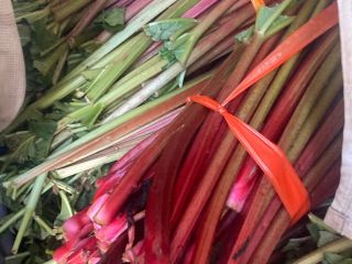 Hello, I am selling raspberry rhubarb, quantities to be