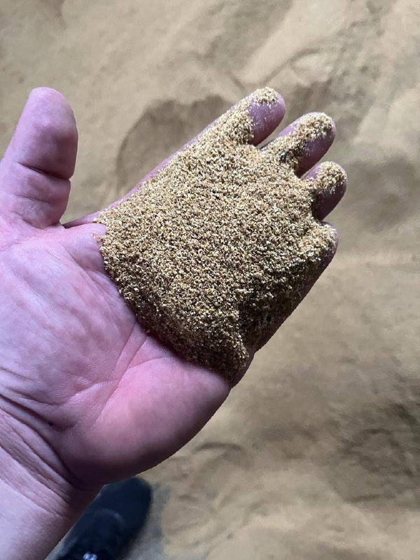 I sell DDGS (Distiller's Dried Grains with Solubles) – protein for animal feed Natural product, resulting from corn fermentation Rich in protein (30-33%) and
