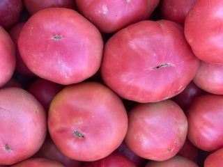 We offer pink tomatoes