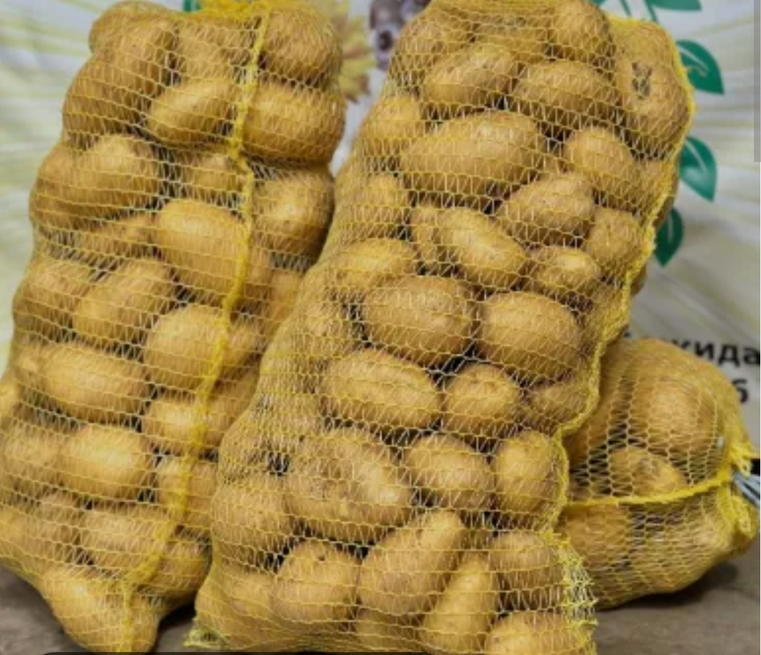 ❗️❗️❗️Hello, I am selling Soraya potatoes from a producer