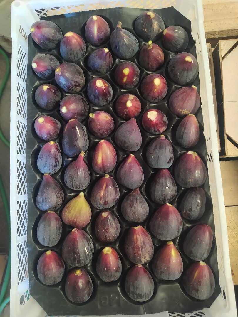 I'm selling packaged and refrigerated natural figs