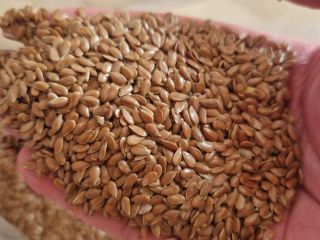 We offer Organic-biosuisse oat, 50 tonns, high quality, price