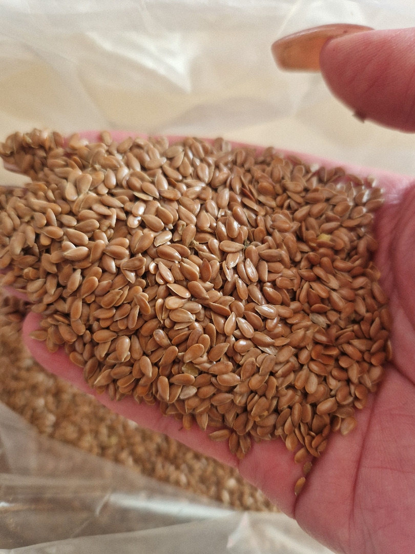 We offer Organic-biosuisse oat, 50 tonns, high quality, price is according to the wholesale prices in the past 4 weeks