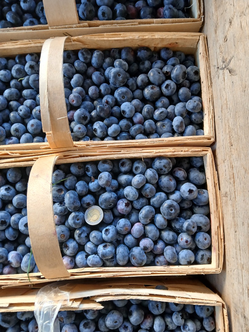 Hello, this afternoon I'll have 200 baskets of 3kg Chendler blueberries for sale