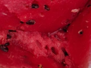 I sell Sinfonia watermelons and Karpathos melons in Roșiori,